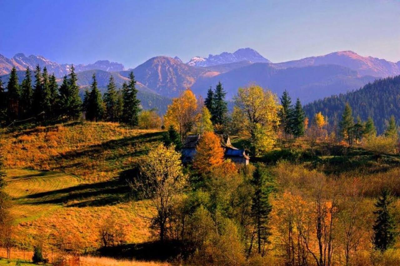 Willa Strazyska Zakopane Exterior photo